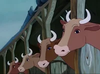 The cows