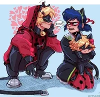 Ladybug x cat noir