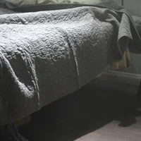 Entity under the bed