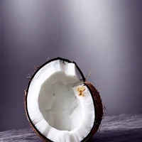EVIL COCONUT