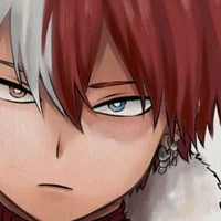 Shoto Todoroki
