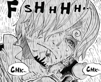 Betrayed Sanji