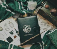 Slytherin group 2