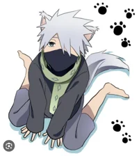 Cat kakashi 
