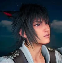 Noctis Lucis Caelum