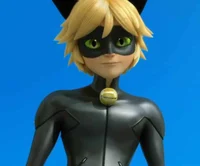 Cat noir