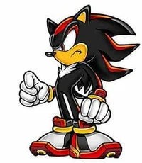 Shadow the hedgehog