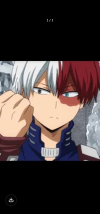 Shoto Todoroki