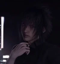 Noctis Lucis Caelum