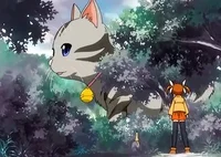 Mega Neko