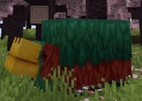 Minecraft sniffer 