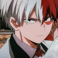 Shoto Todoroki