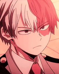 Shoto todoroki 