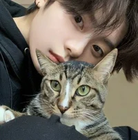 linos cat cafe