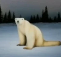 polar bear 2026 