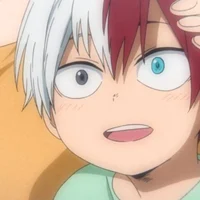 Todoroki-chiquito