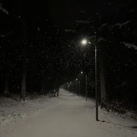 Snowfalls After Dawn