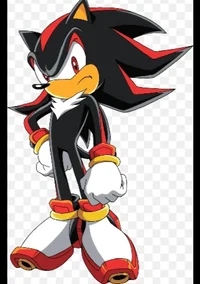 Shadow the hedgehog