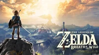Video Game RPG BOTW