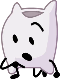 Pillow BFB