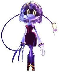 Serial Designation V