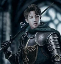 Knight Namjoon