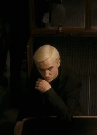 Draco malfoy 
