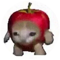 APPLE CAT