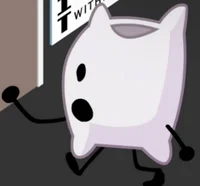 Pillow-Bfdi