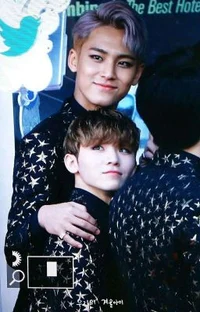 Mingyu y woozi