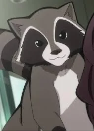 karl the racoon
