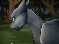 Ashfur 