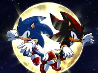 Sonic shadow and you