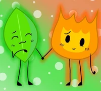 Firey and Leafy