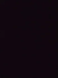 You May not date him