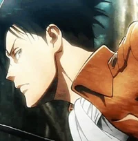 Levi Ackerman 
