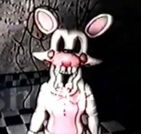 Mangle VHS Tape