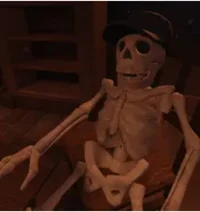 Bob