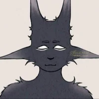 Xavier 