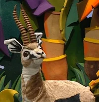 Tommy the Gazelle