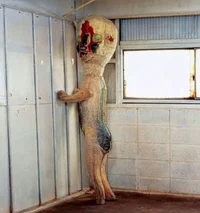 SCP-173