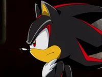 Shadow the hedgehog 
