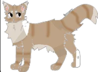 Pinepaw -warrior-