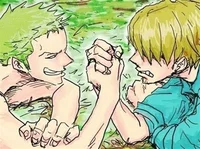 Sanji and Zoro