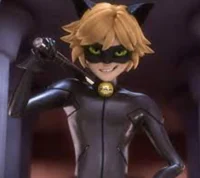 Cat Noir 