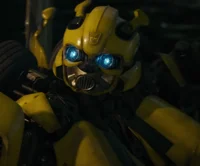 -Bumblebee-