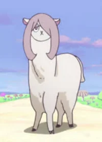 Sucy Llama