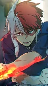 Shoto Todoroki 