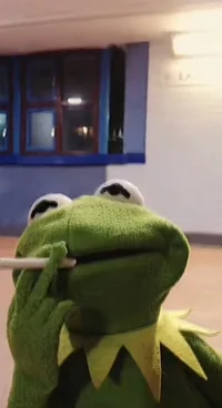 Lui
