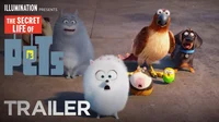 Secret life of pets